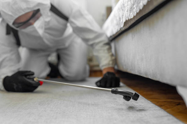 Professional Termite Control technician working in Pulaski, NY